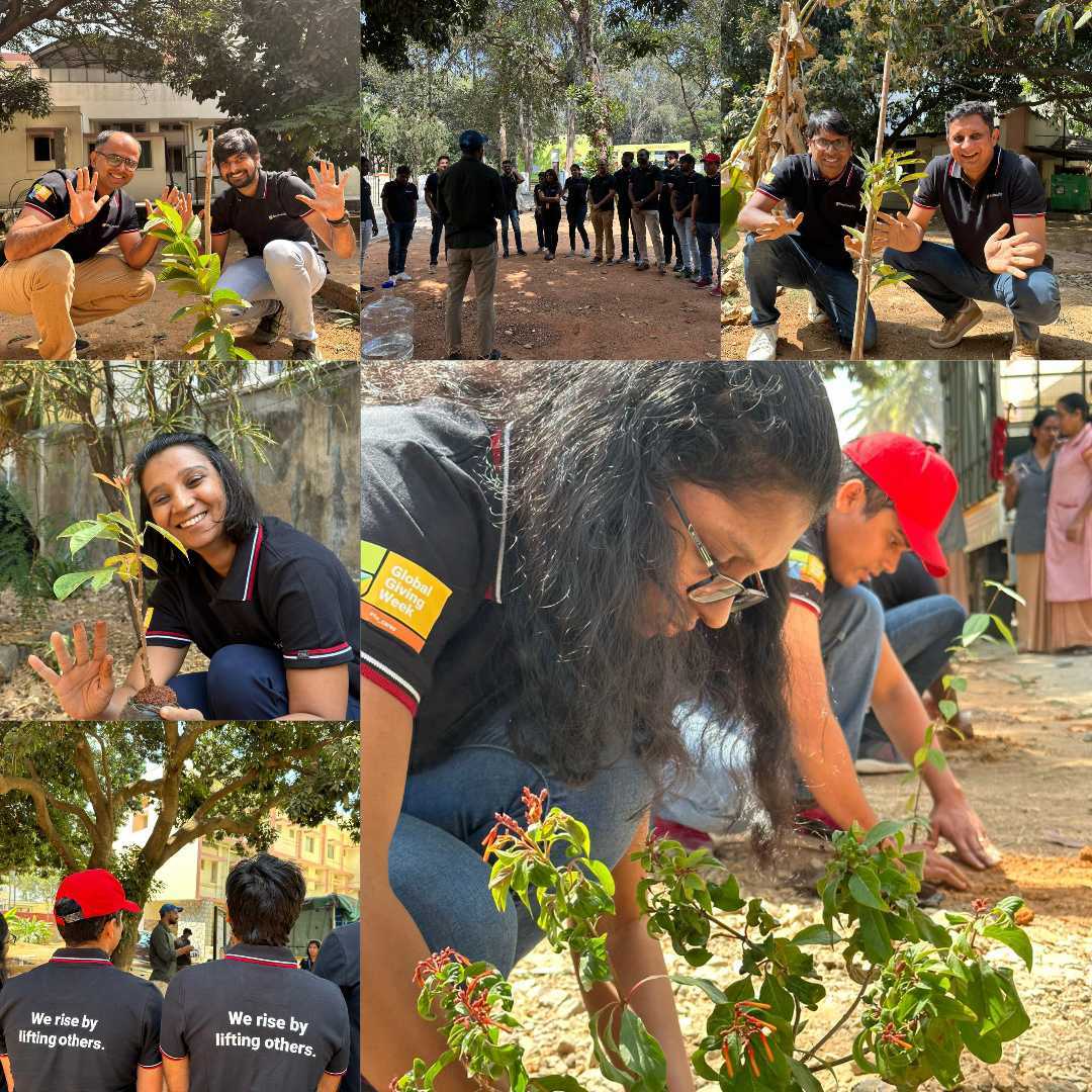 Image for Tree Plantation Drive