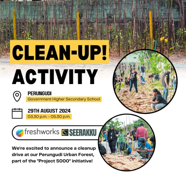 Clean Up Activity - Project 5000