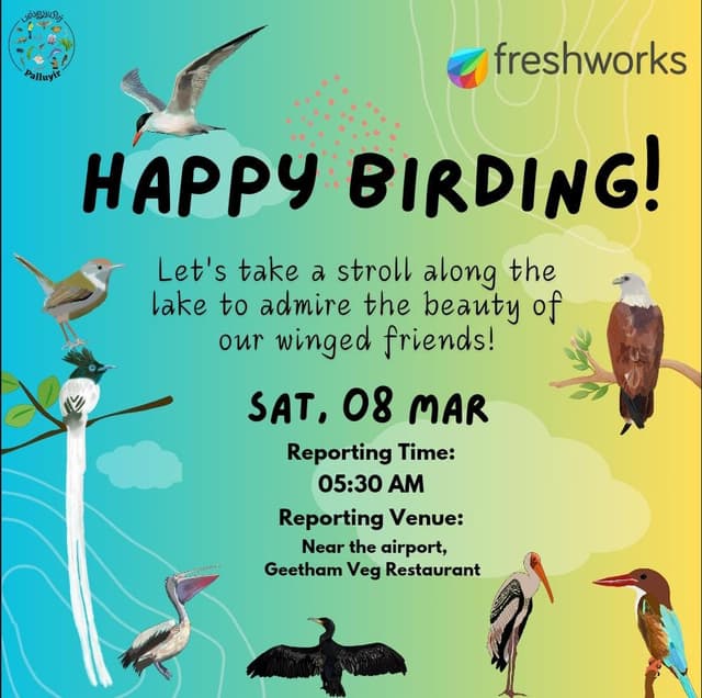 Birdwatching Vedanthangal