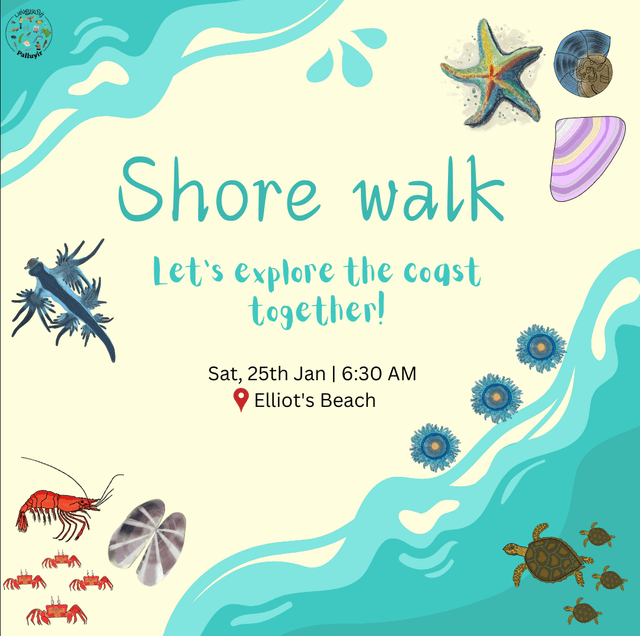 ๐ Shore Walk: Discover the Wonders of the Coast! ๐